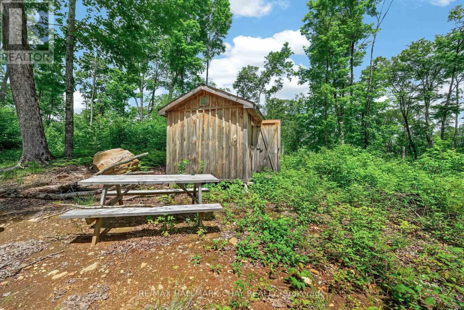 LOT 29 CONCESSION 11