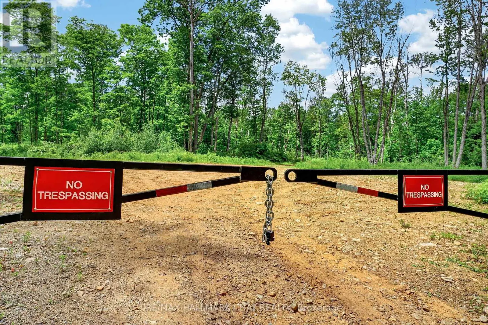 LOT 29 CONCESSION 11