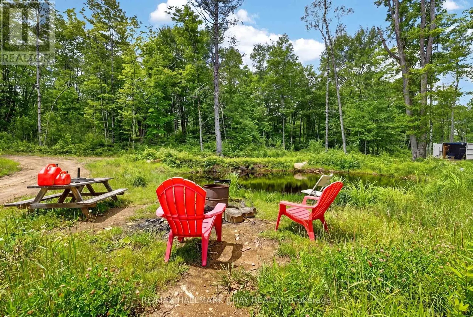 LOT 29 CONCESSION 11