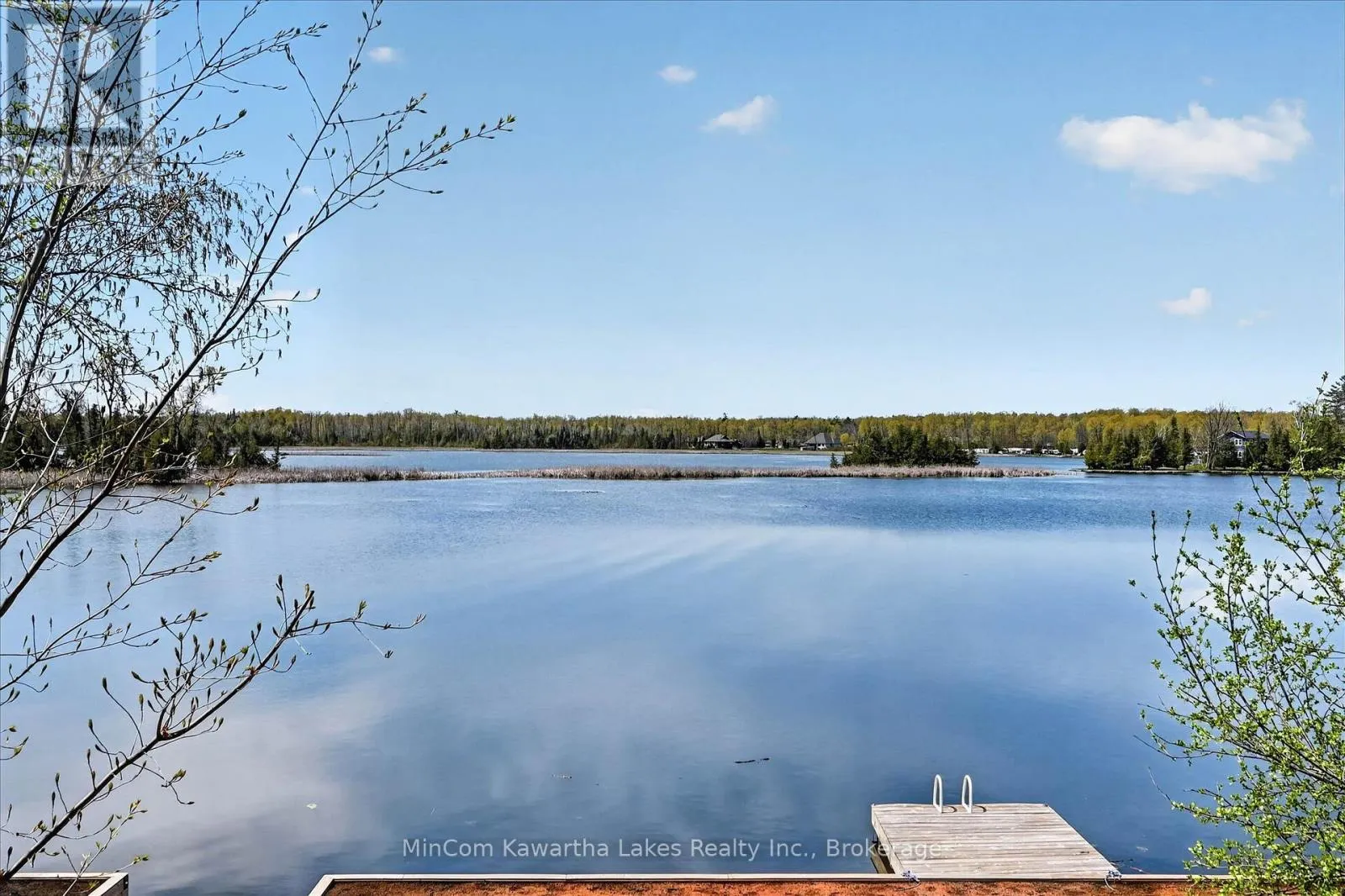 54 WOODLAND TRAIL