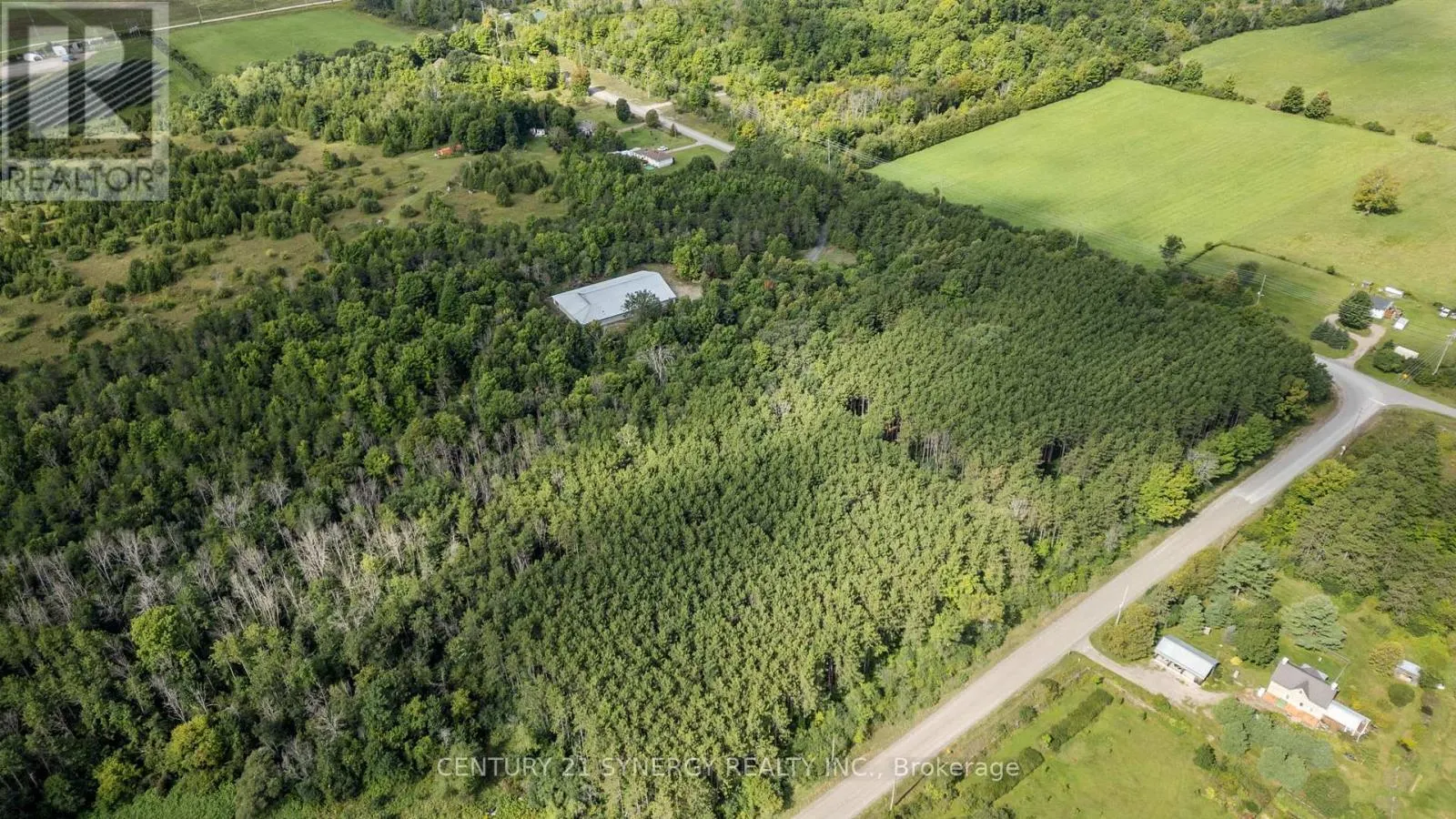 181 DRUMMOND 1 CONCESSION