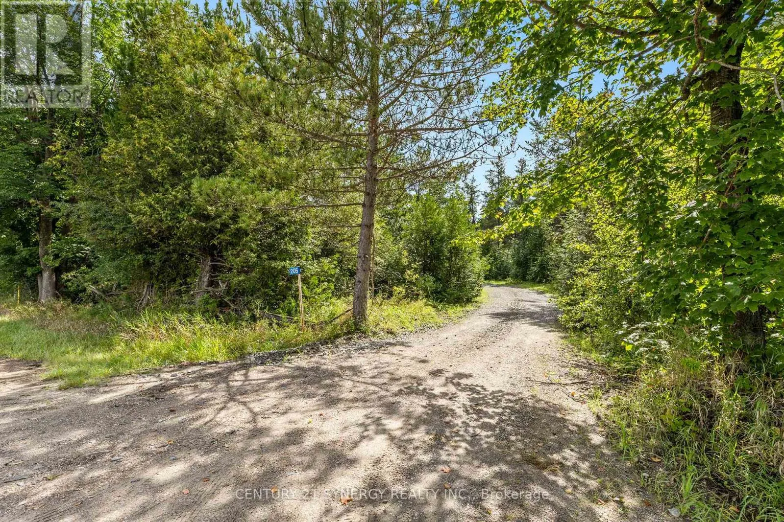 181 DRUMMOND 1 CONCESSION