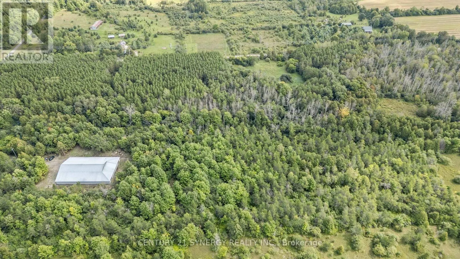 181 DRUMMOND 1 CONCESSION