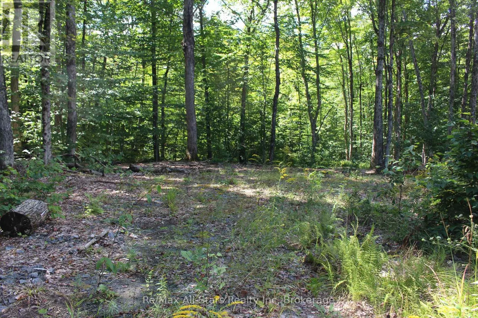 3480 BRUNEL ROAD