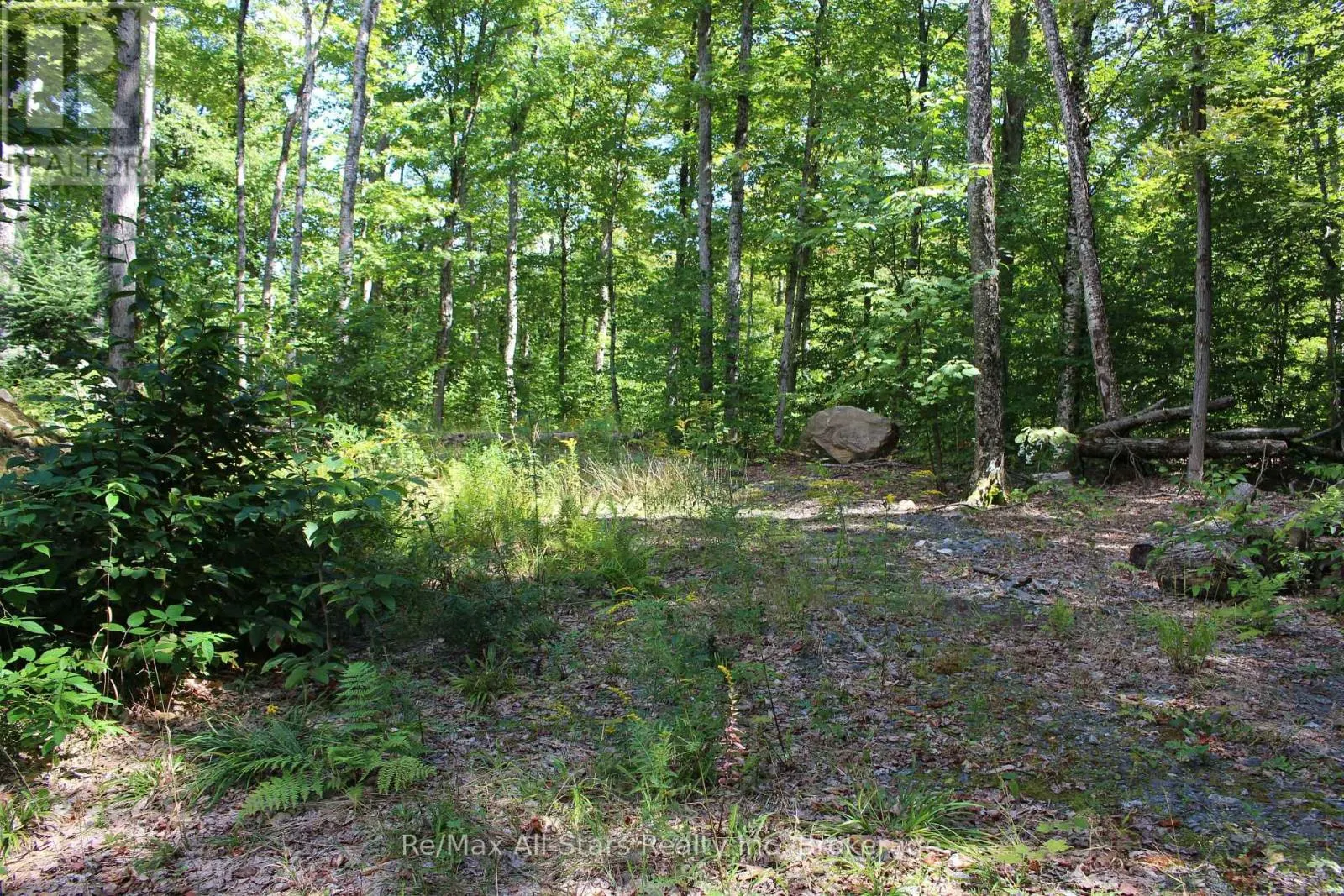 3480 BRUNEL ROAD