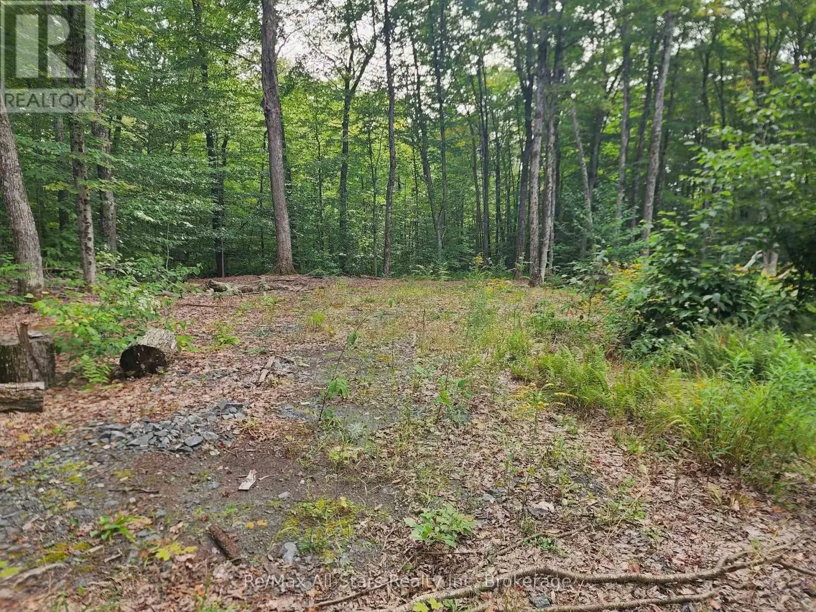 3480 BRUNEL ROAD