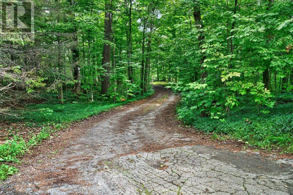 237 OLD RIVER ROAD