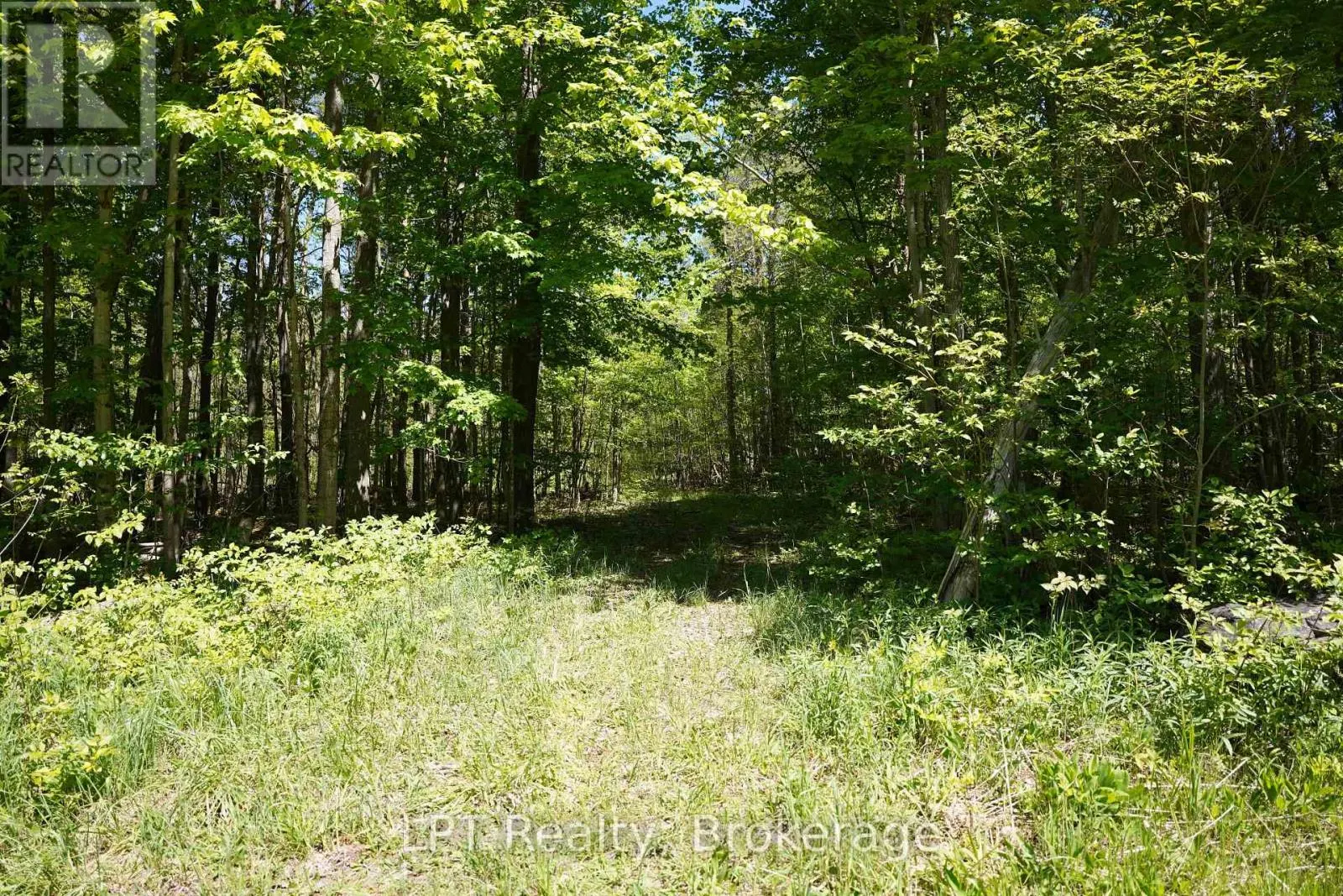 LOT 16 GREY ROAD 17