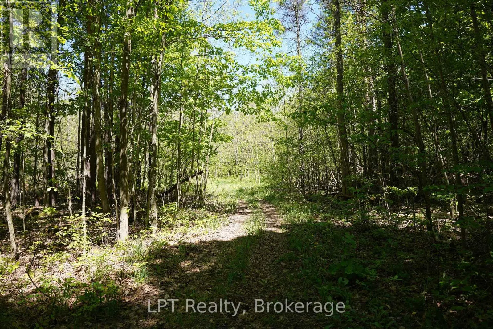 LOT 16 GREY ROAD 17