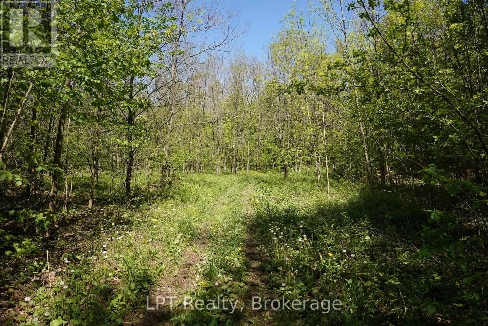 LOT 16 GREY ROAD 17