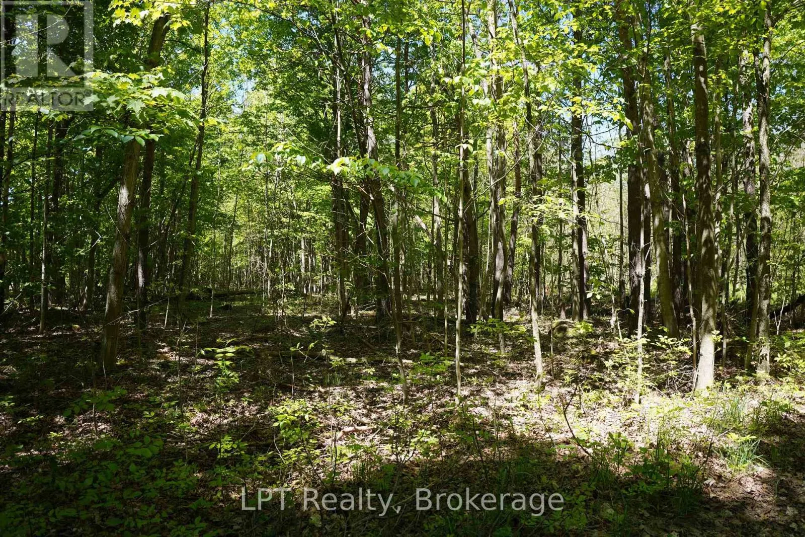 LOT 16 GREY ROAD 17