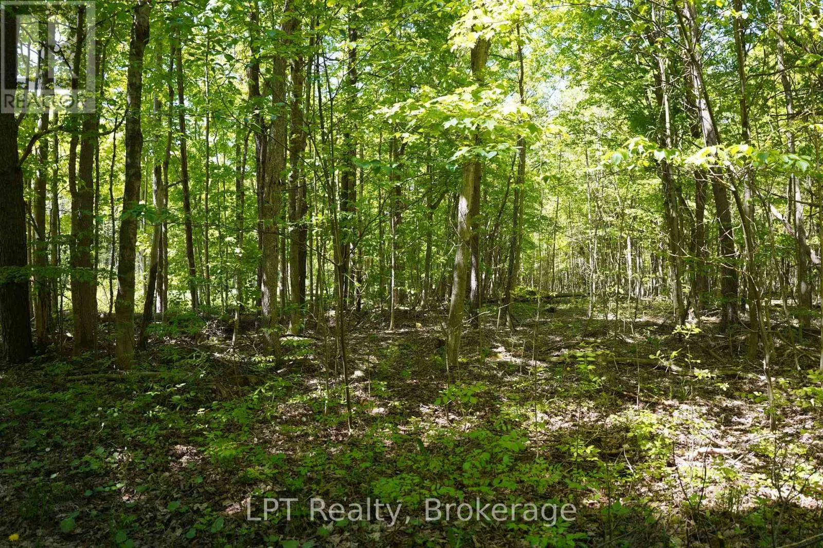 LOT 16 GREY ROAD 17