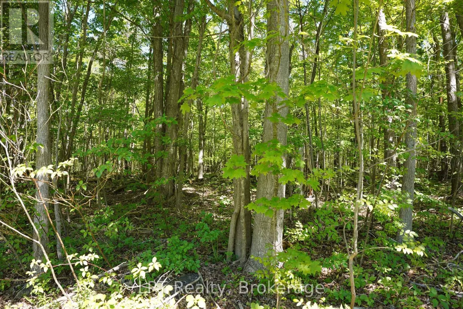 LOT 16 GREY ROAD 17