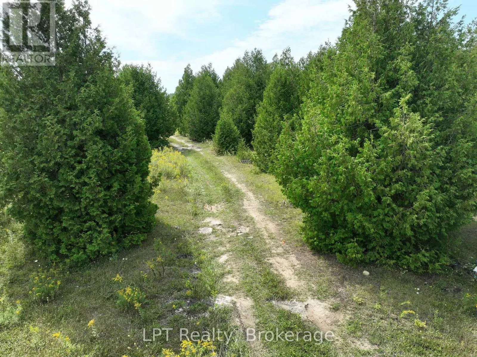 387 SPRY LAKE ROAD