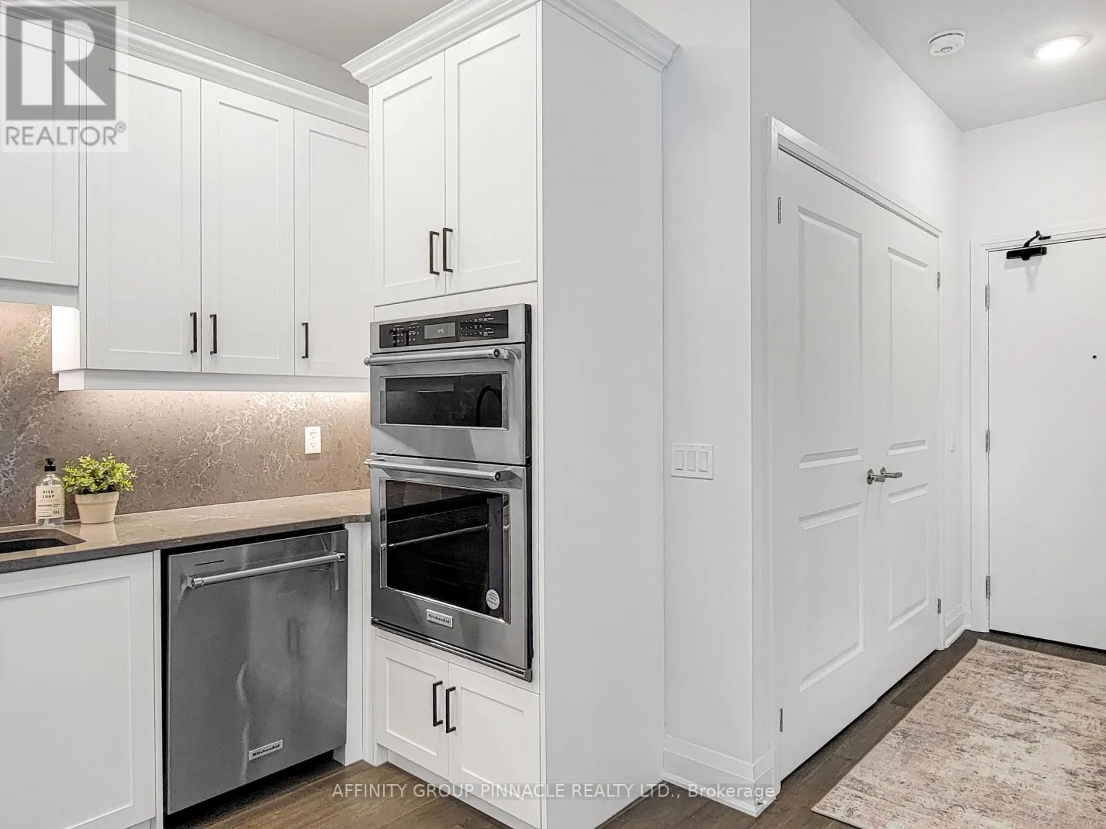 201 - 99 LOUISA STREET #201
