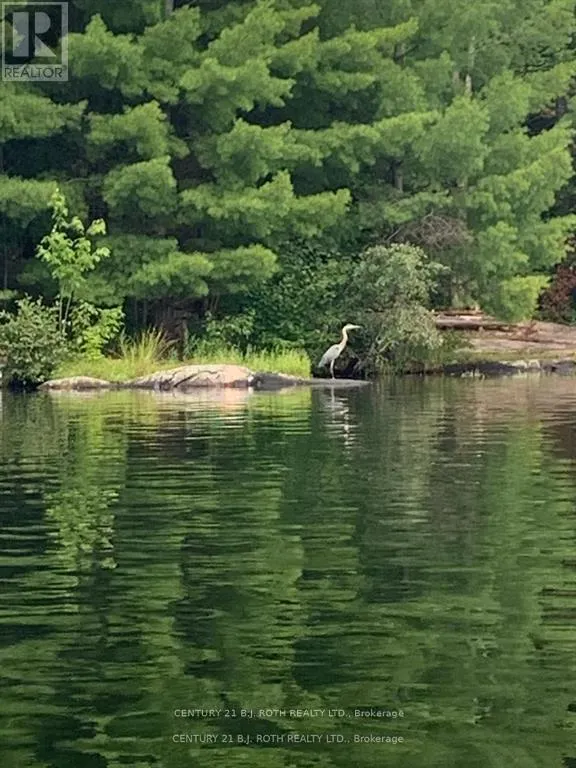 24 SEVERN RIVER