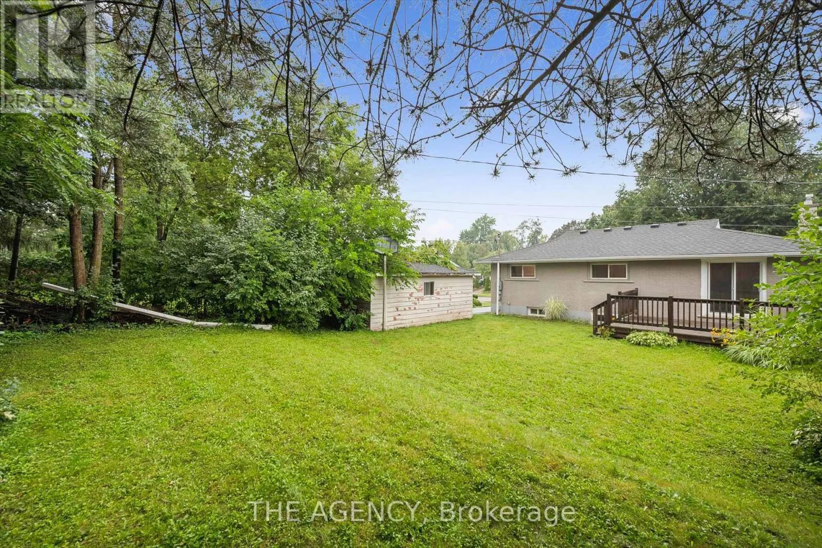 217 MAYFIELD AVENUE