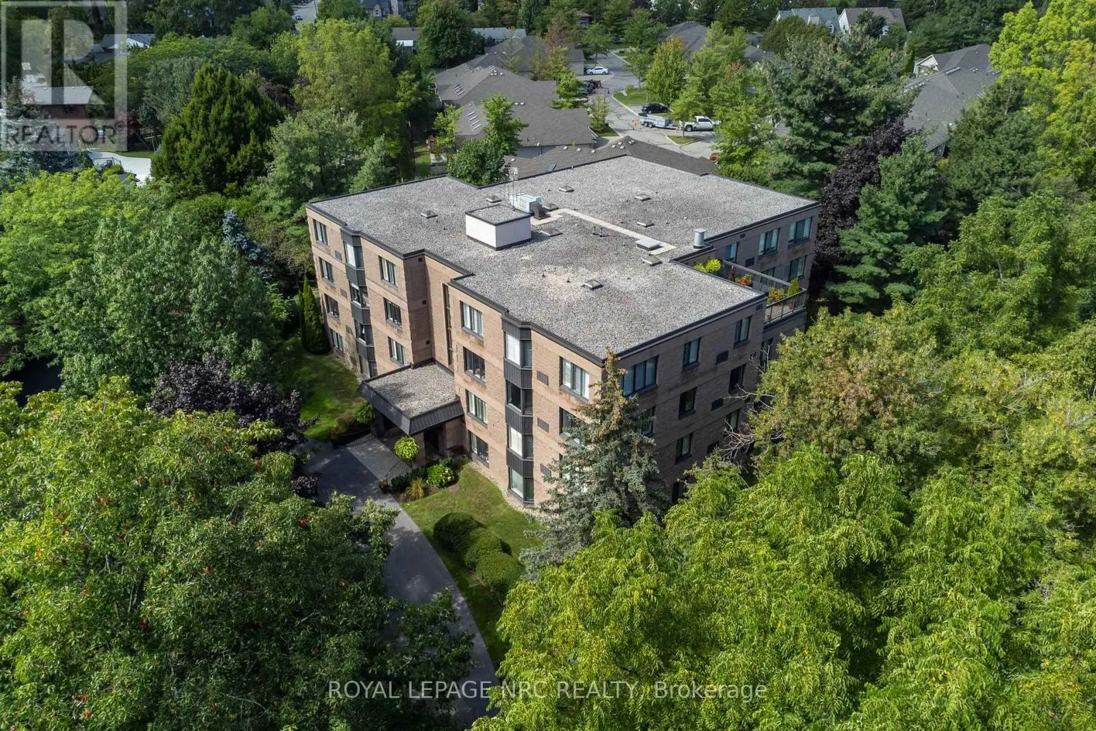 202 - 61 PAFFARD STREET #202