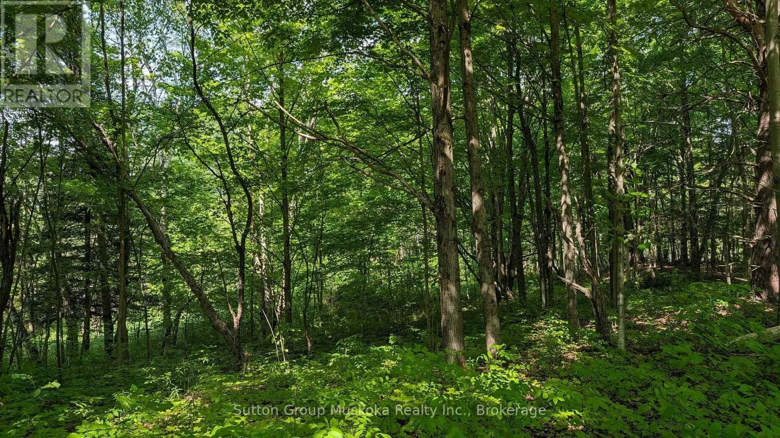 LOT 2 TALLY-HO WINTER PARK ROAD