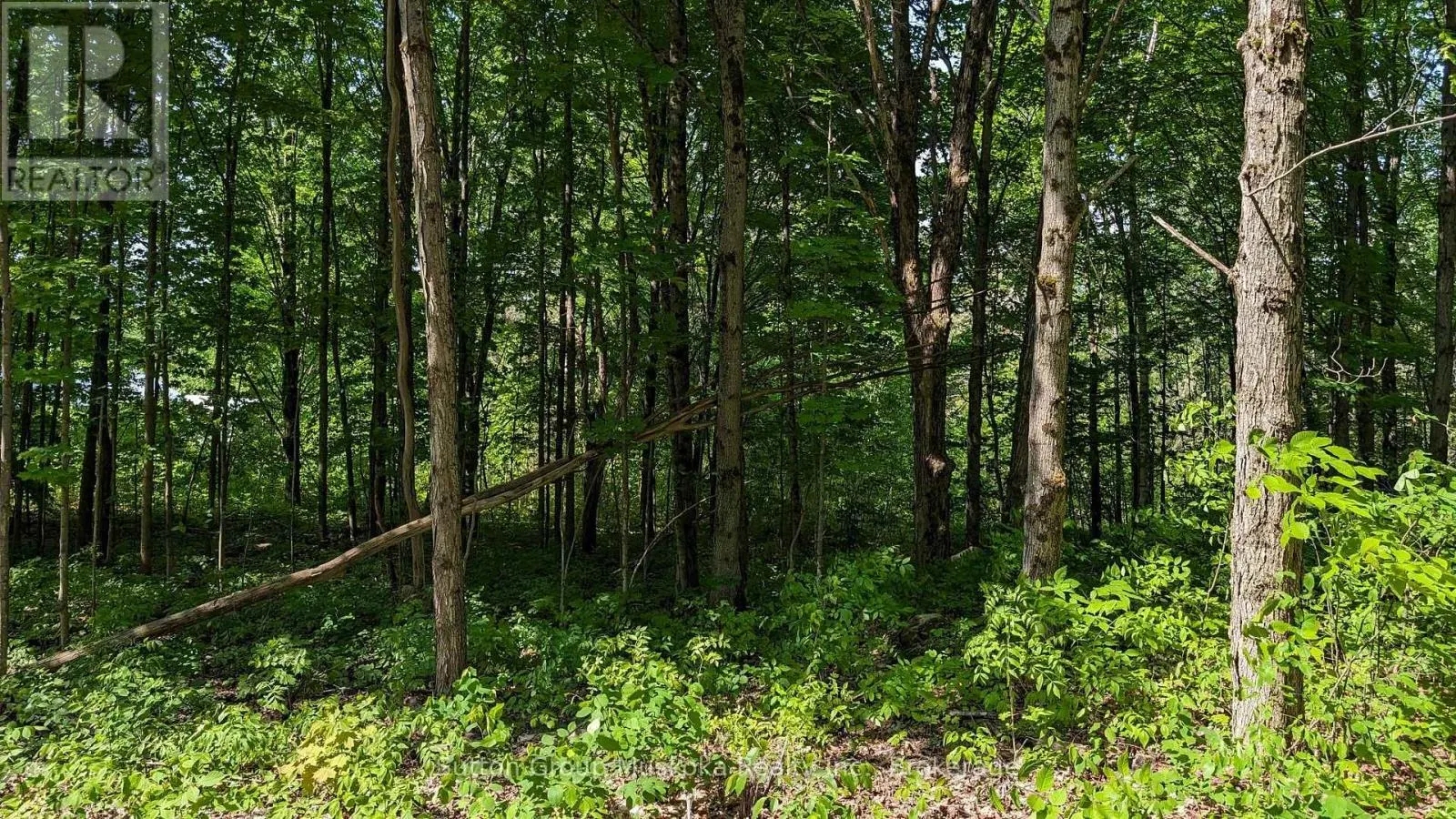 LOT 2 TALLY-HO WINTER PARK ROAD