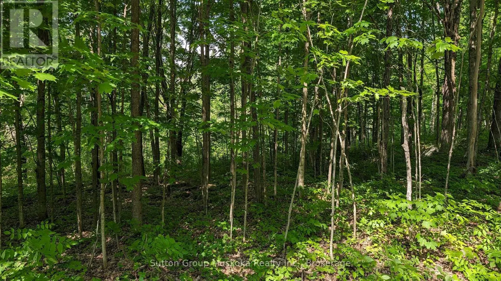 LOT 2 TALLY-HO WINTER PARK ROAD