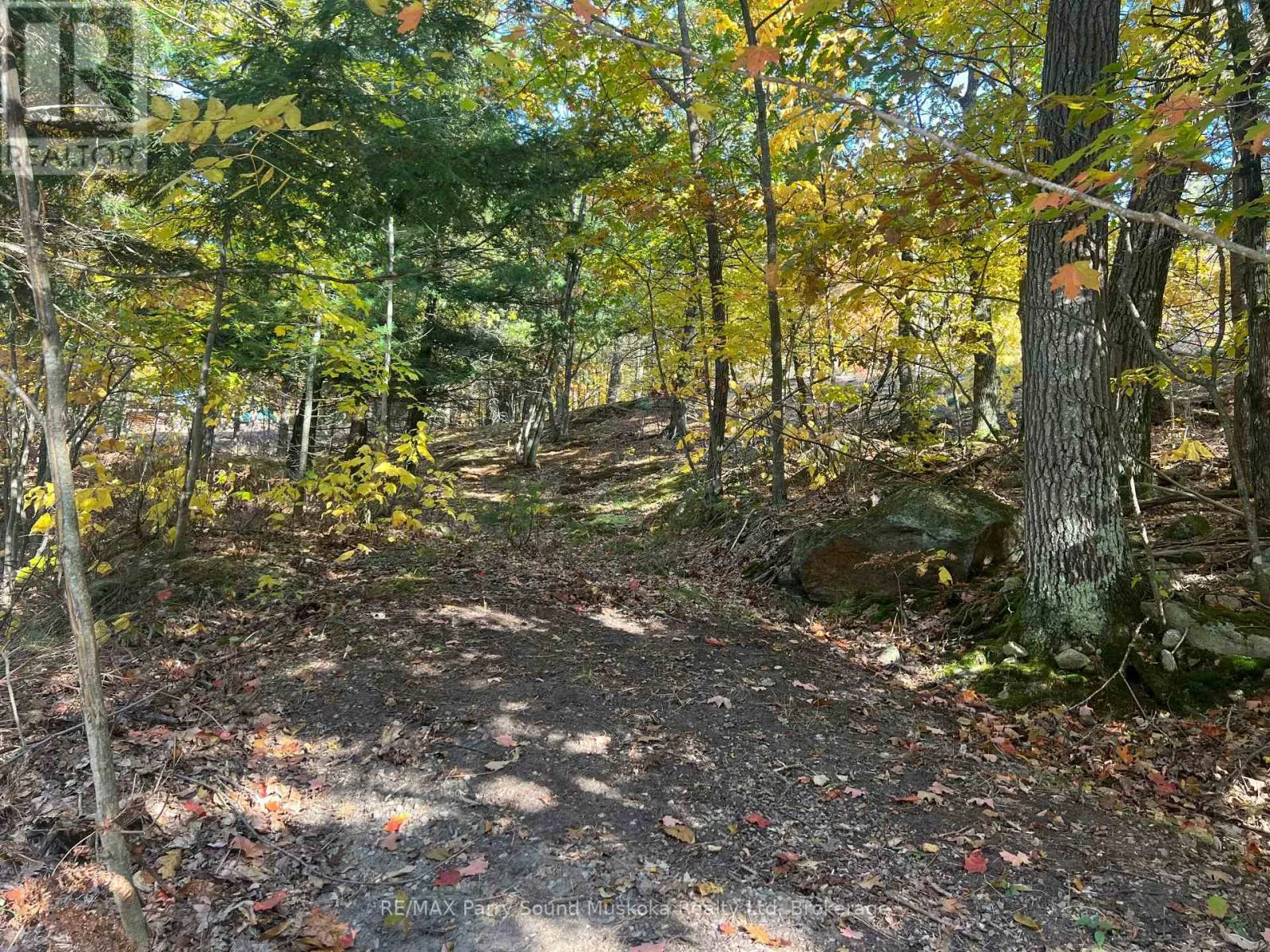 13 RIDGEWAY DRIVE