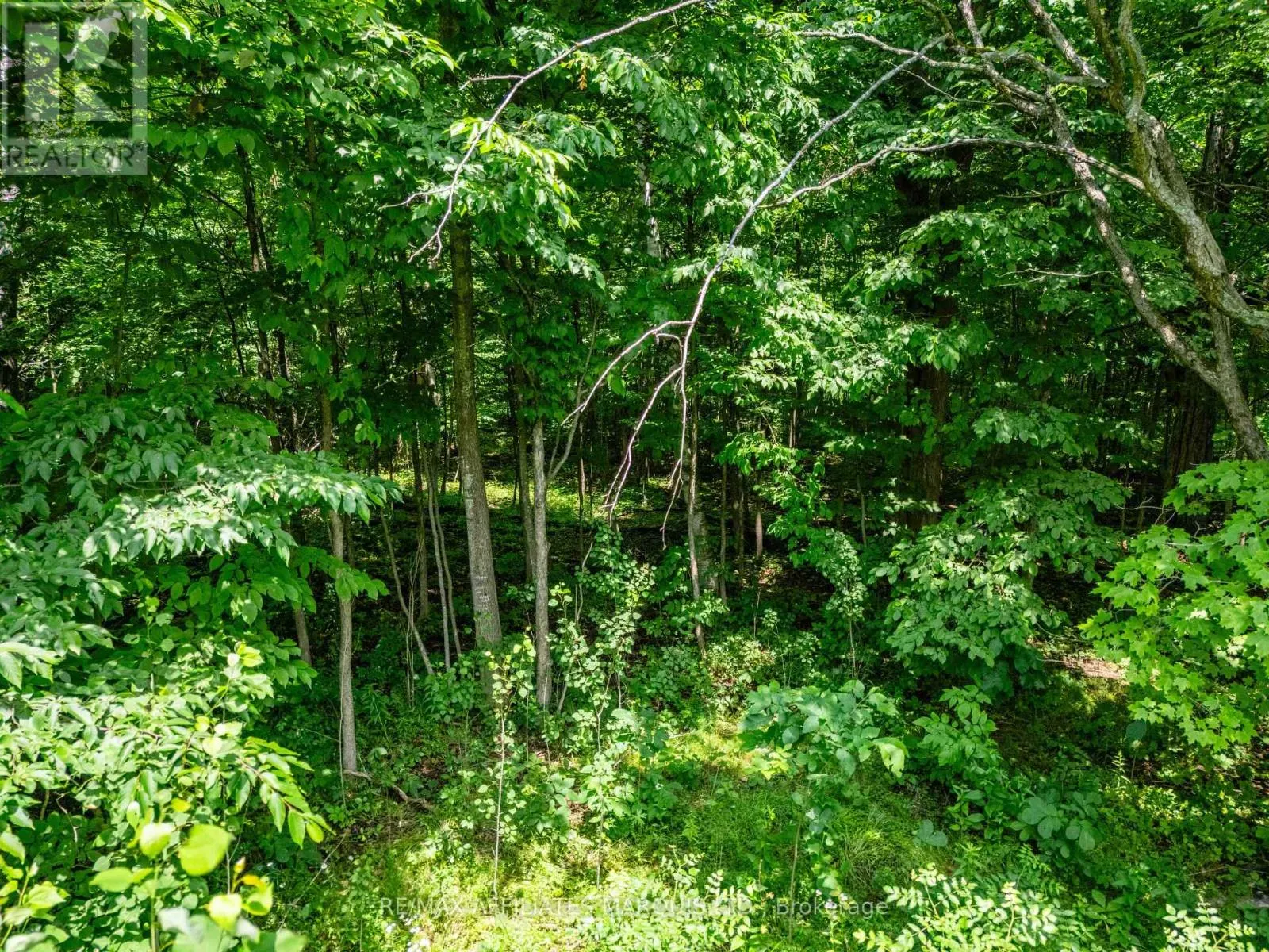 LOT BEAVER BROOK ROAD