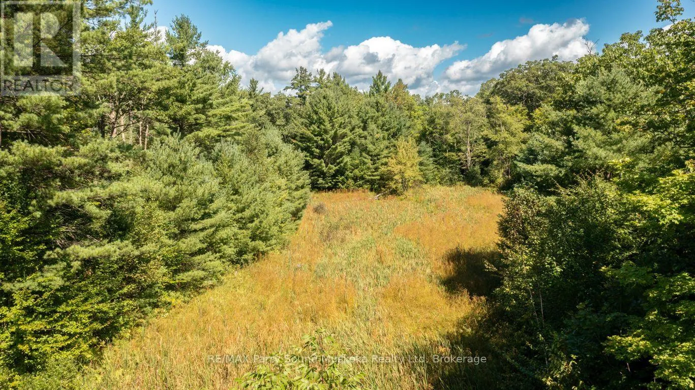 290 RANKIN LAKE ROAD
