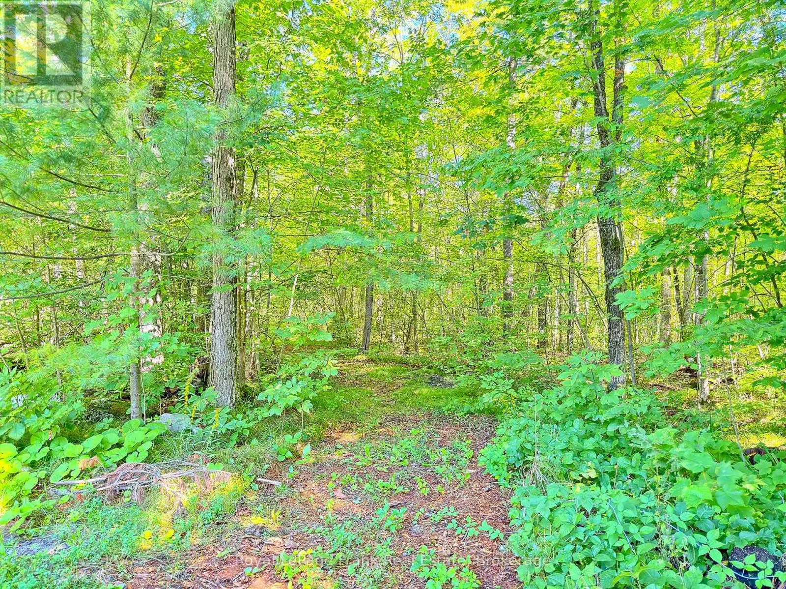 858 MILL ROAD