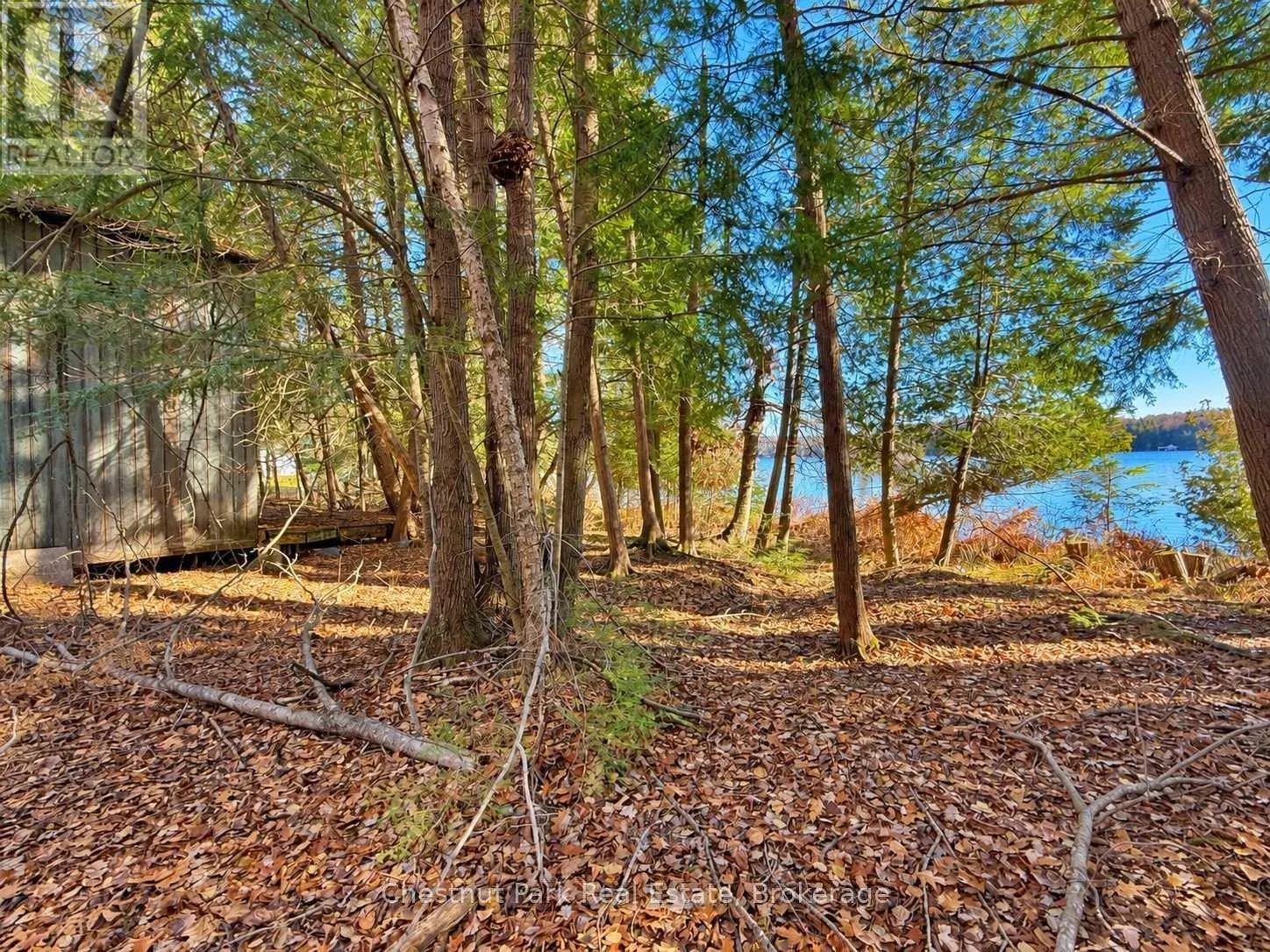 26 BLAIR POINT ROAD