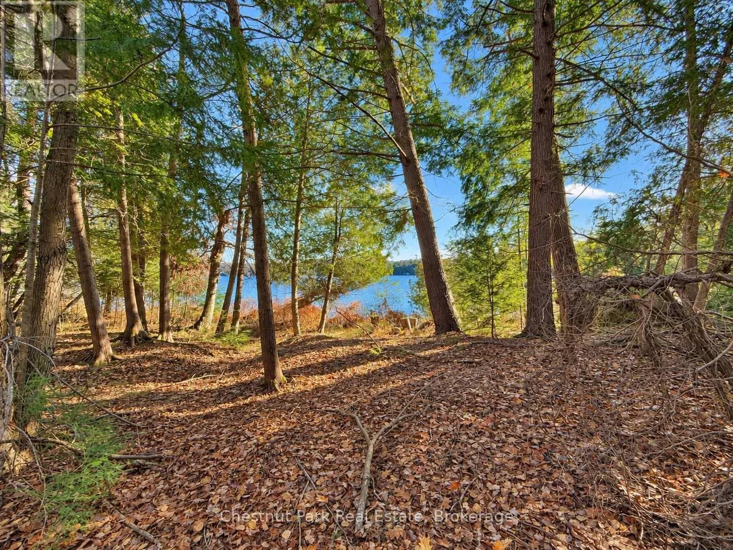 26 BLAIR POINT ROAD
