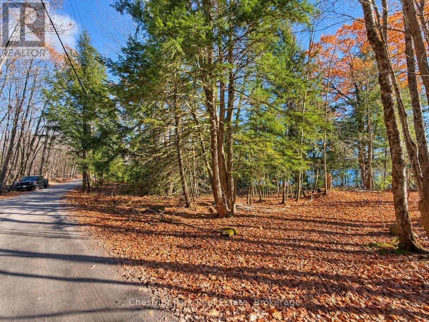 26 BLAIR POINT ROAD