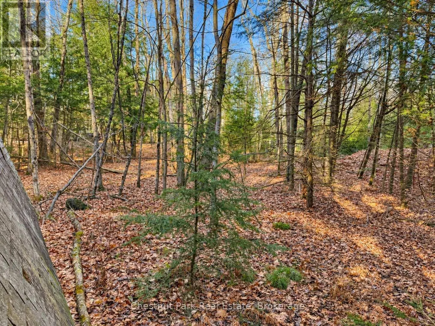 26 BLAIR POINT ROAD