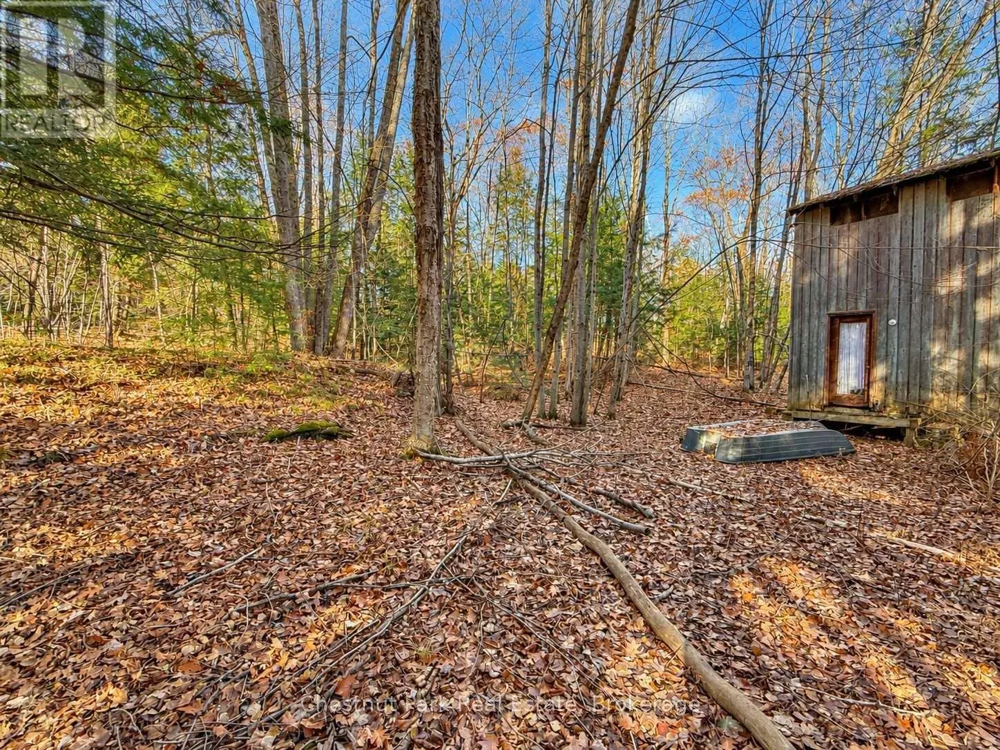 26 BLAIR POINT ROAD
