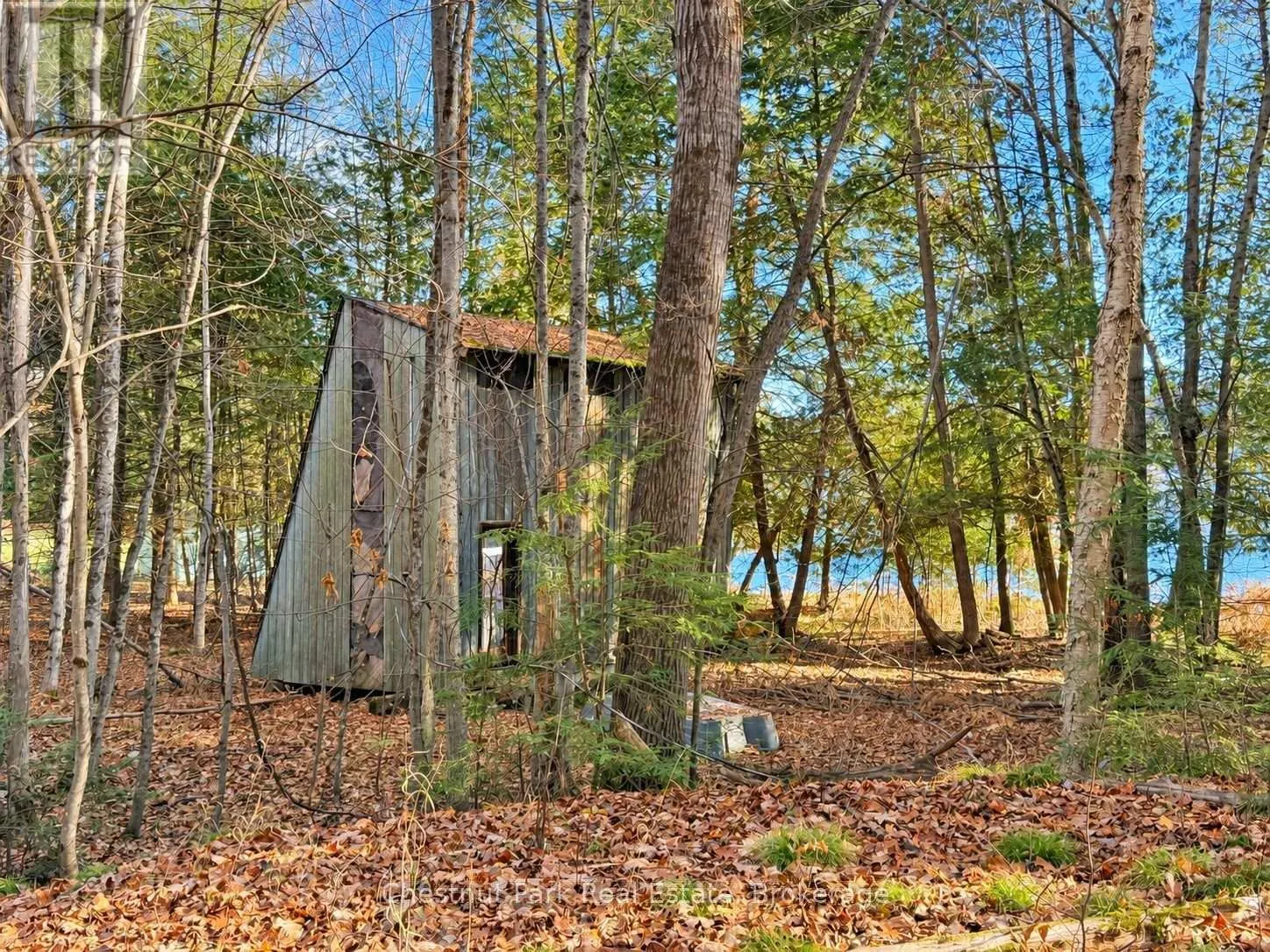 26 BLAIR POINT ROAD