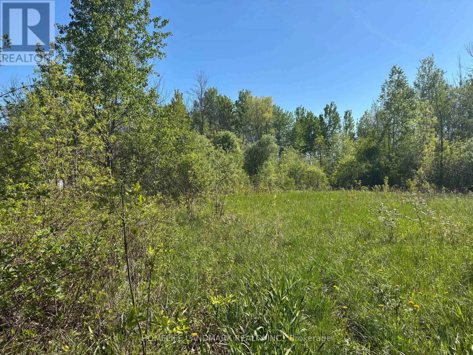3485 SMITH ROAD