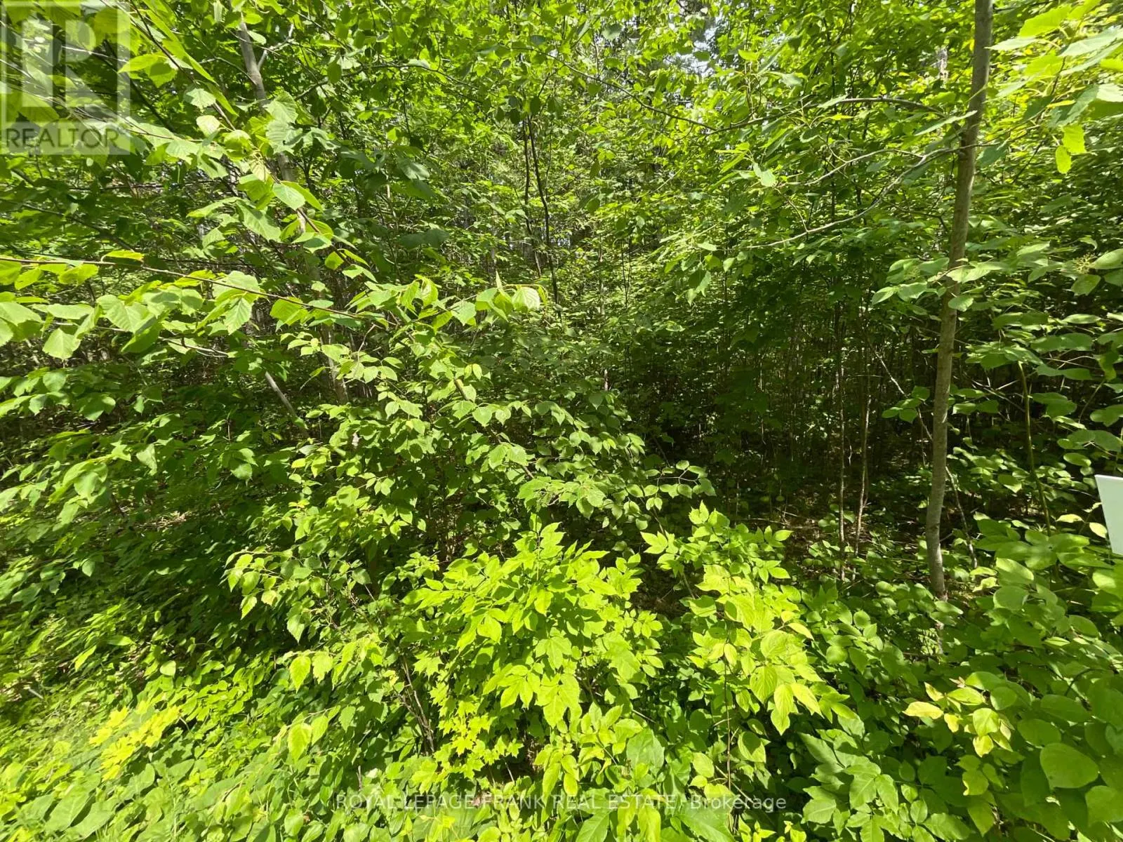 0 SUGARBUSH CRESCENT