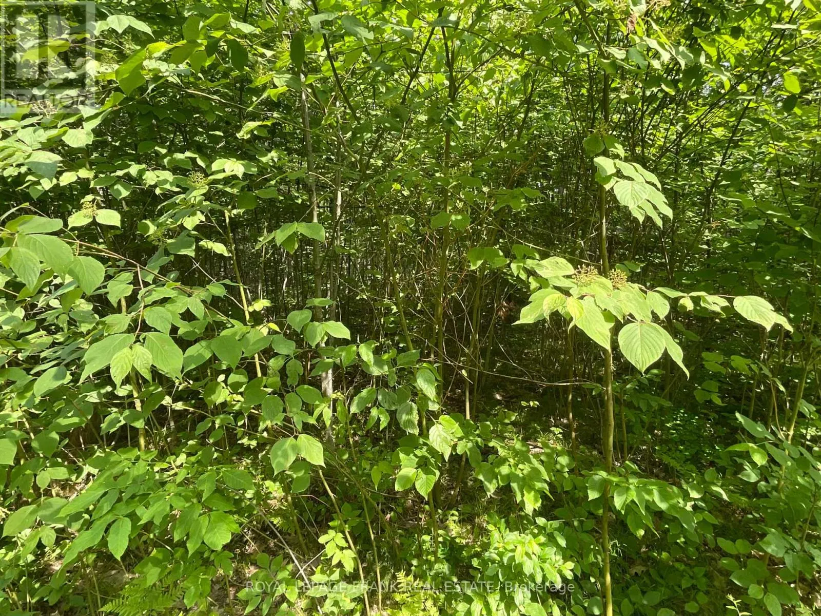 0 SUGARBUSH CRESCENT