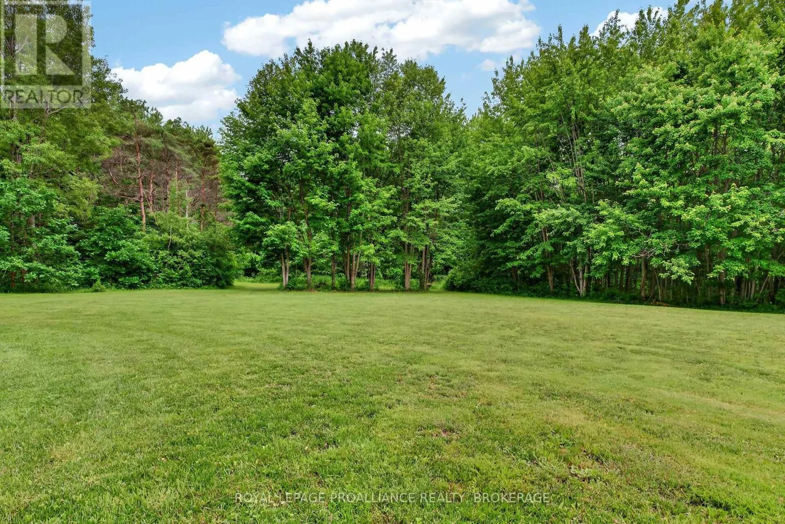 1246 TOWNLINE ROAD