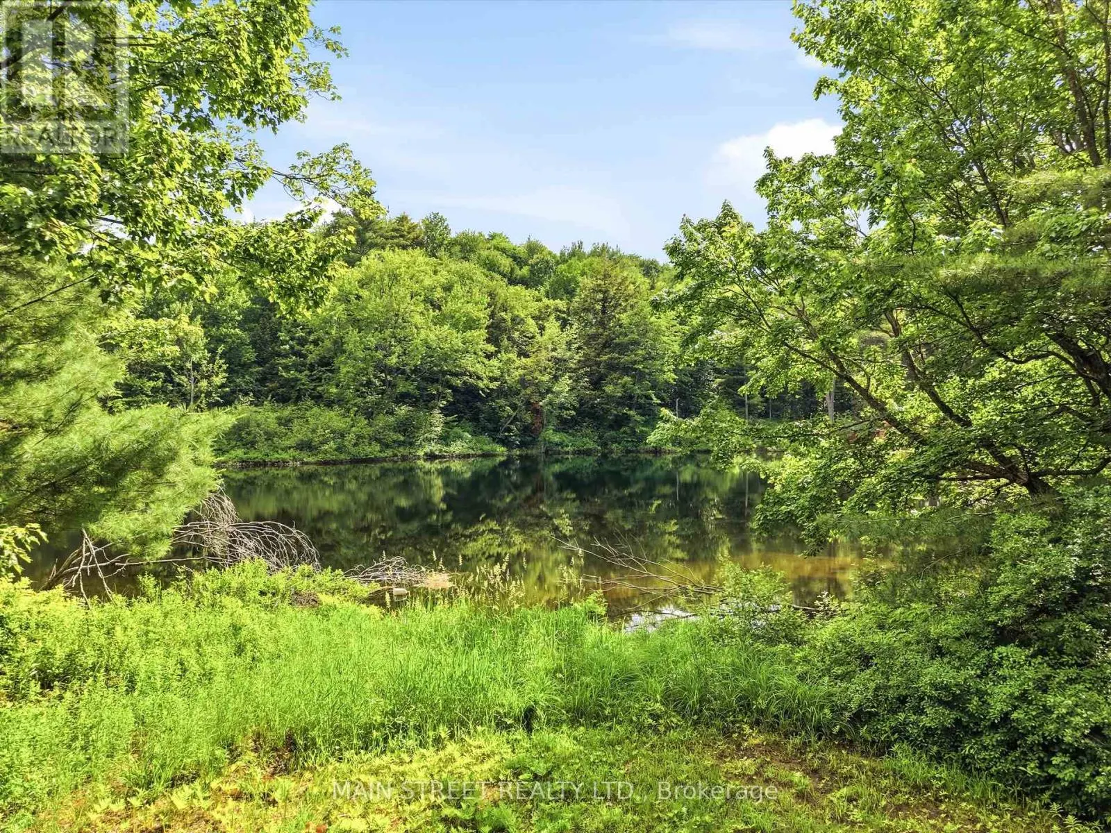 1063 SHERWOOD FOREST ROAD