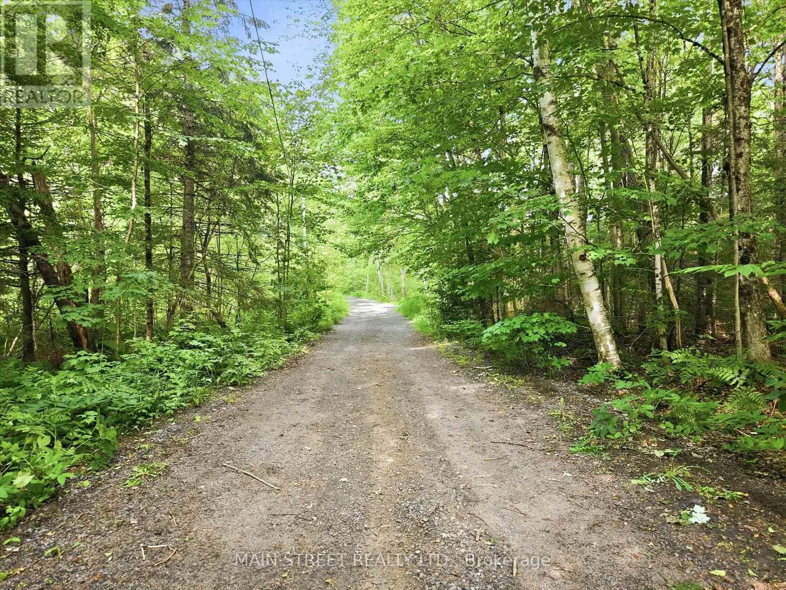 1063 SHERWOOD FOREST ROAD