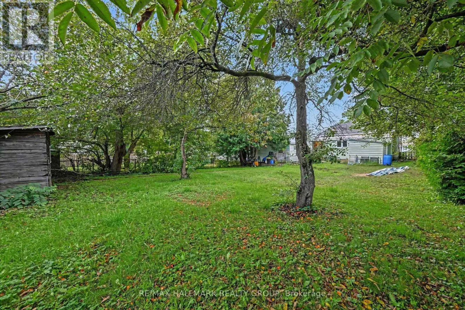617 ROY STREET W