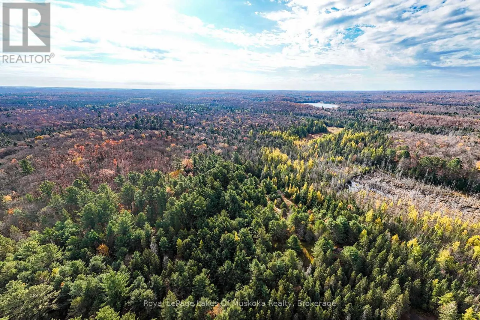 267 & 321 CARDWELL LAKE ROAD