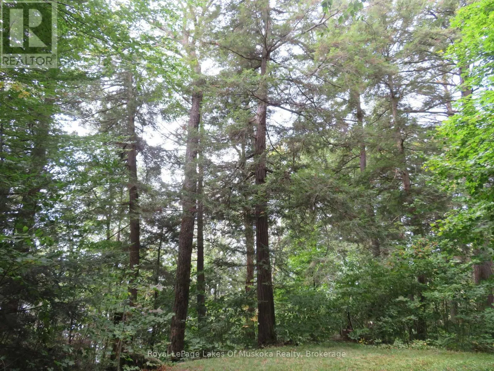 1071 DOTTY LAKE ROAD