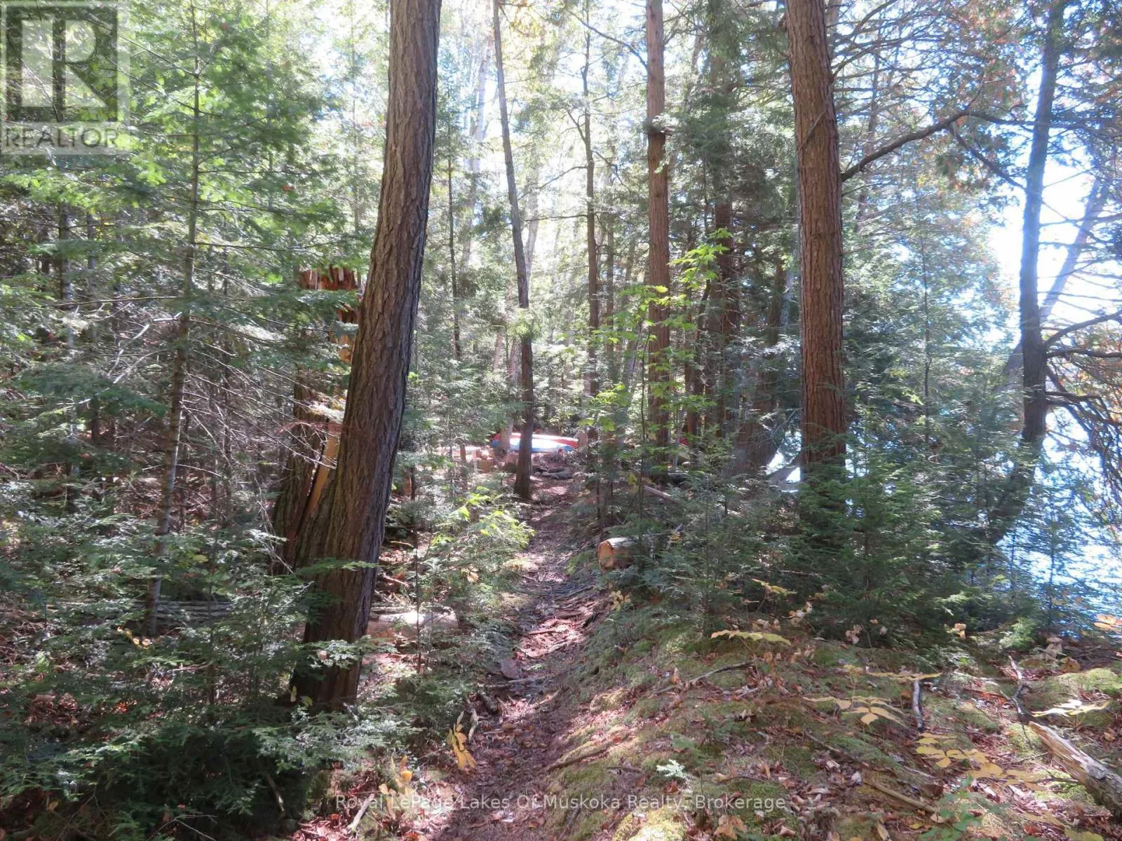 1071 DOTTY LAKE ROAD