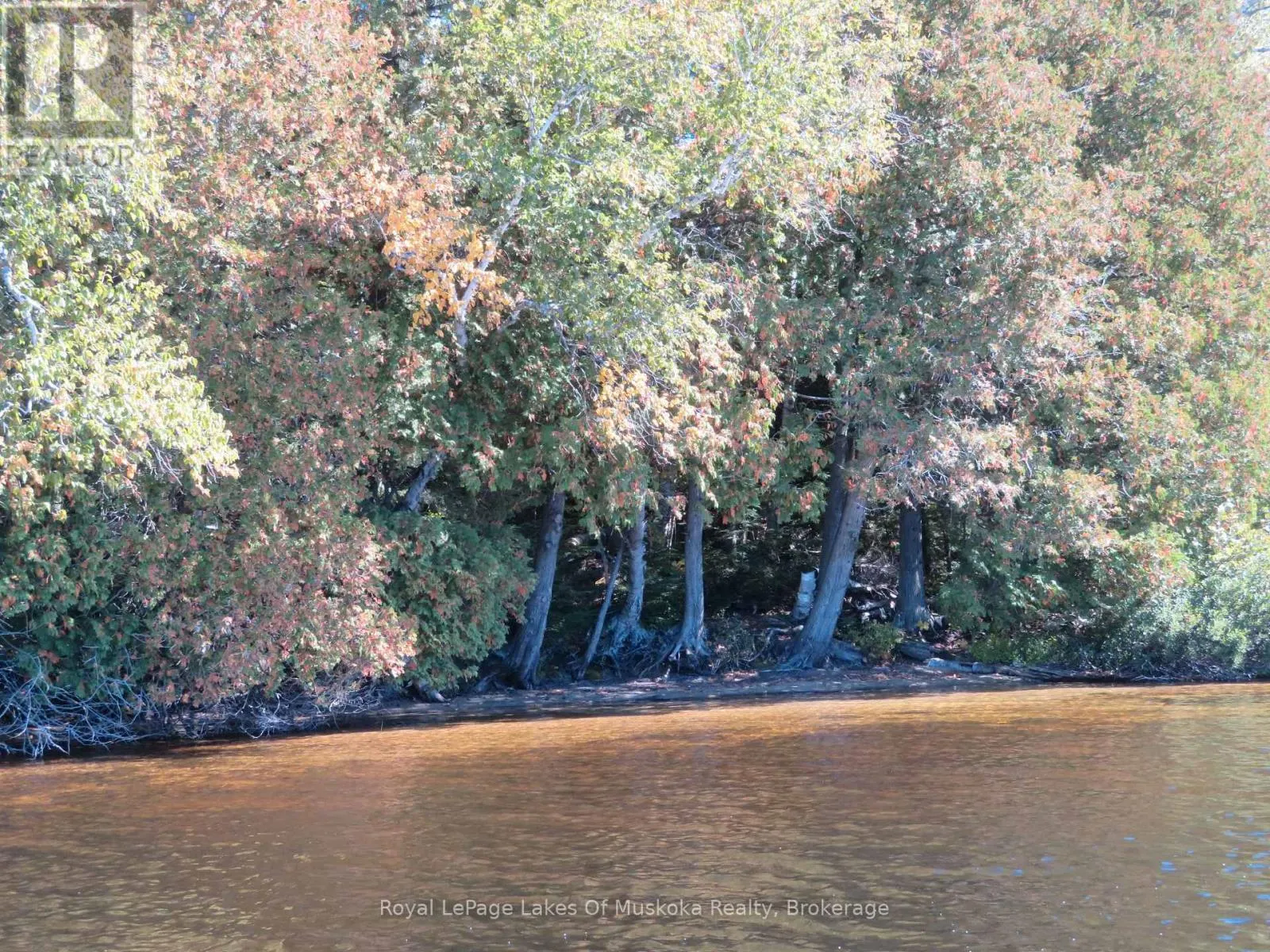 1071 DOTTY LAKE ROAD
