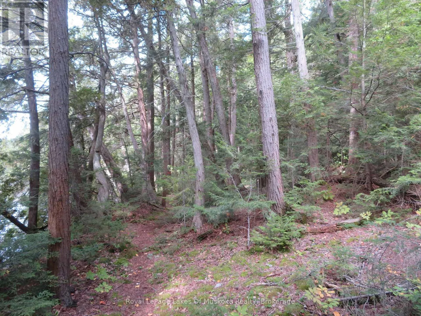 1071 DOTTY LAKE ROAD
