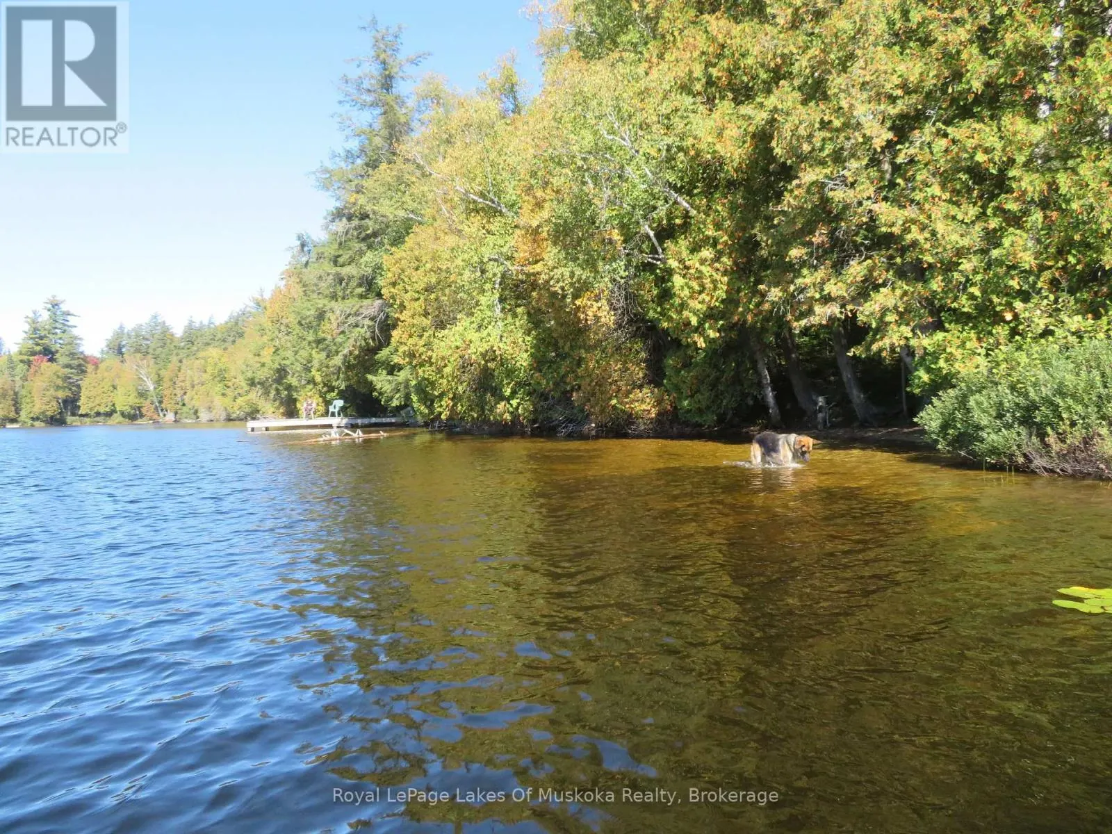 1071 DOTTY LAKE ROAD
