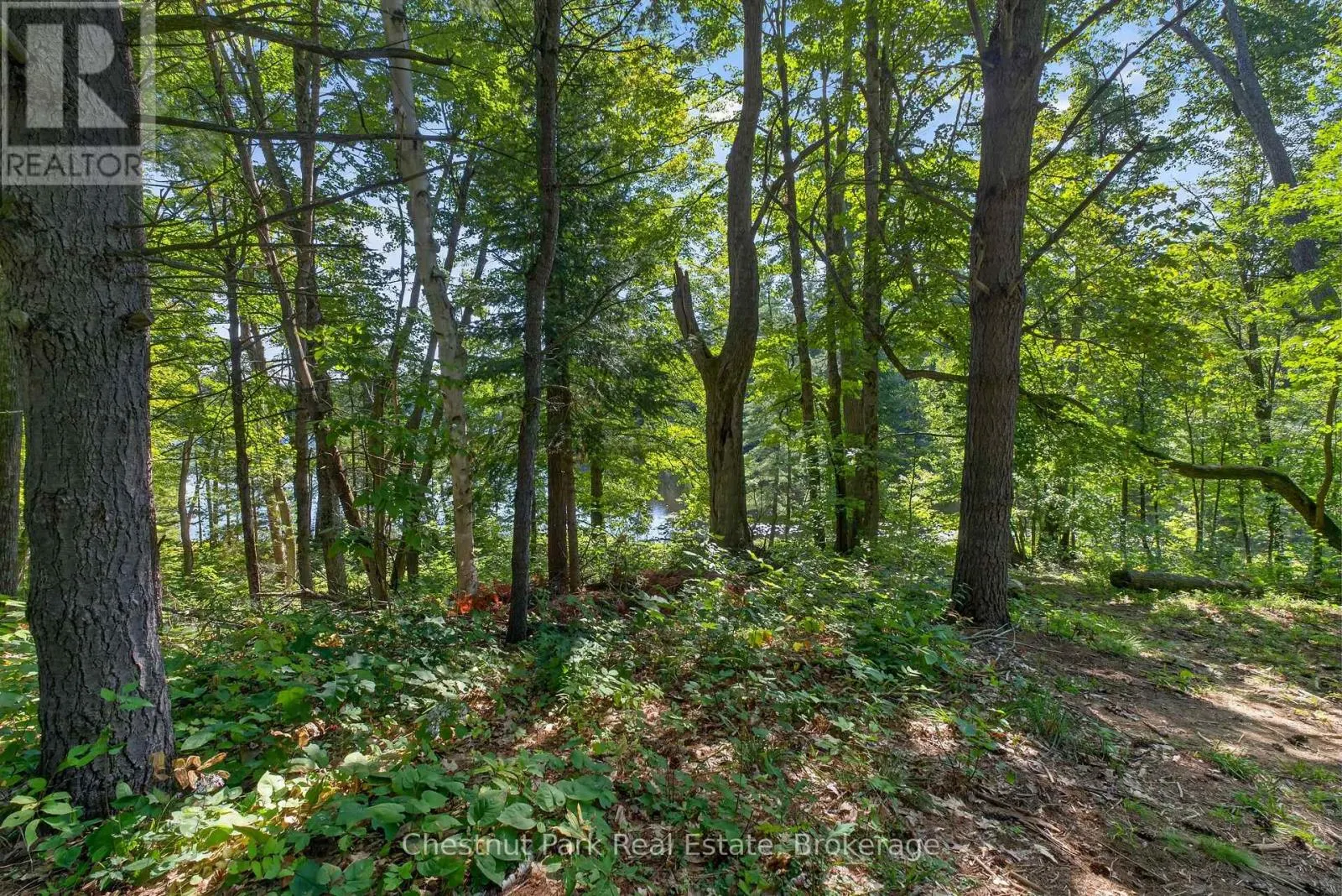 1627 HOUSEYS RAPIDS ROAD