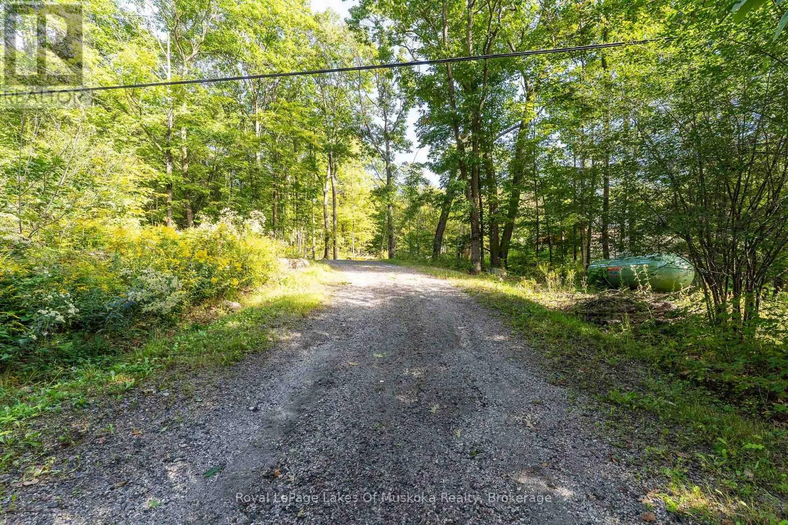 1029 WHITESIDE ROAD